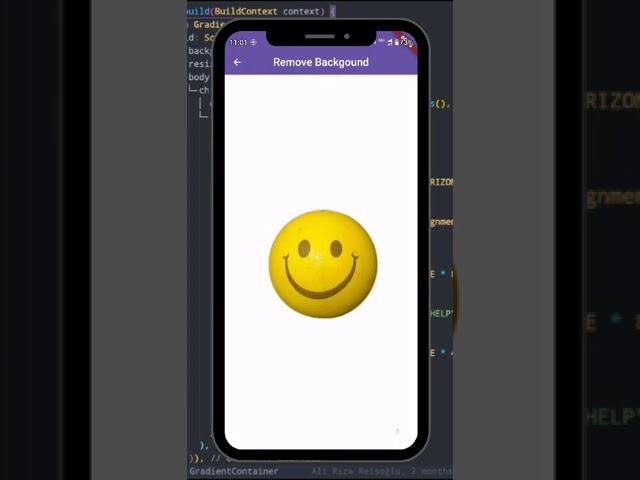 Flutter + Python OpenCV backend - Image background remover App #flutter