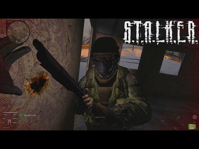 ПО ГОЛОВЕ - STALKER Anomaly Redux