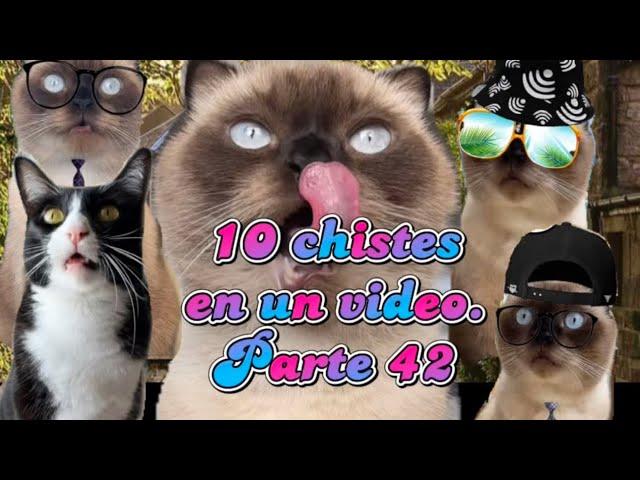 10 chistes en un video. Parte 42 