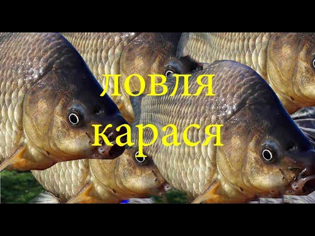 Ловля карася!!!