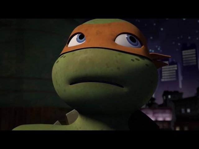 Totally Turtles (Trailer) | Pluto TV GSA