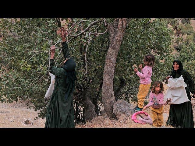 Nomadic Family Life: A Journey Through Iran's Mountains and Traditions