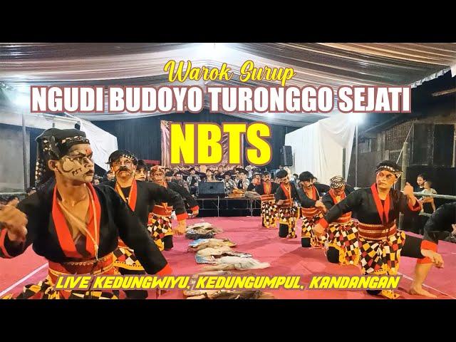 Warok Surup | Ngudi Budoyo Turonggo Sejati | NBTS Live Kedungwiyu, Kedungumpul, Kandangan