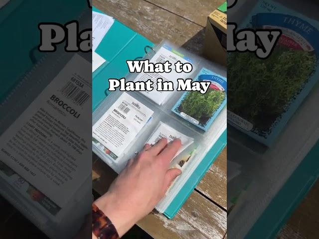 What to Plant in May