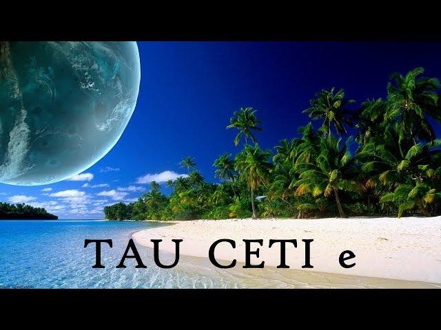 Tau Ceti e: the closest Earth-like planet