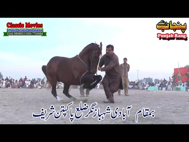 Horse Dance Jashne Bodla Bahar Day 2nd 2017 Abadi Shahbaz Nagar Pakpattan 26