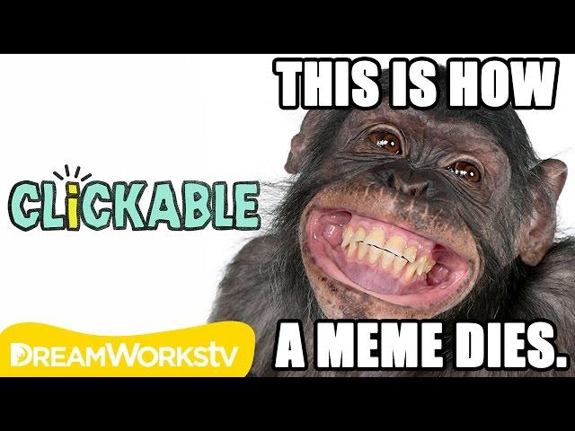 Lifecycle of a Meme | CLICKABLE