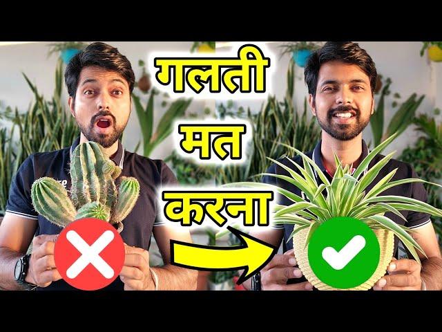 16 Podhe aapke ghar per hone hi chaiye | Free Gifting Plants