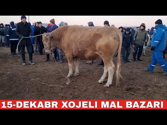 15-ДЕКАБРЬ/ХОЖЕЛИ МАЛ БАЗАРЫ/СКОТНЫЙ РЫНОК/BUQALAR/BIG BULLS IN THE WORLD/BIG COW