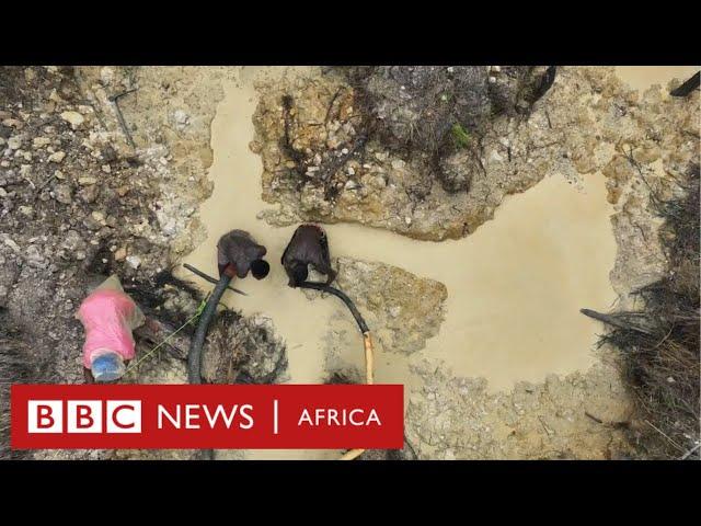 Galamsey: The deadly dig for gold - BBC Africa