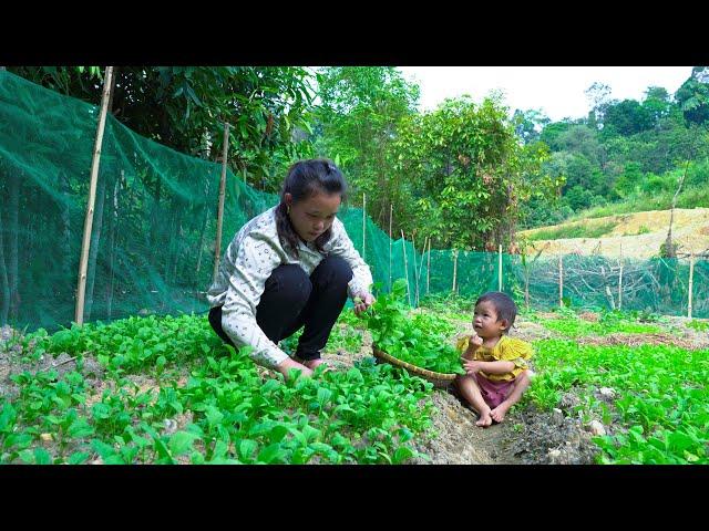 Together with my daughter, I hoe the land to grow vegetables | Family Farm Life