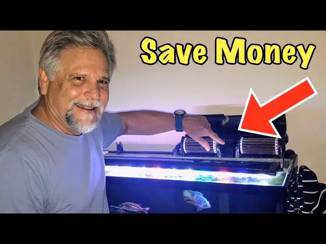 Top 5 Aquarium Filtration MONEY SAVING Tips & Tricks - Save Money Now!