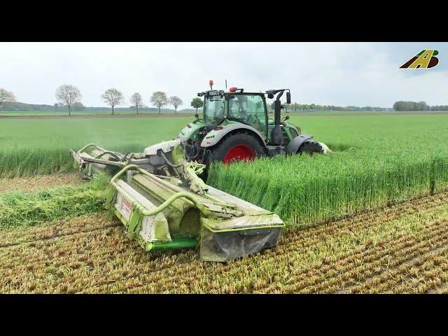 Gras bzw. Grünroggen mähen Agrarservice Einsatz für die Landwirtschaft Traktor Fendt & Claas Mähwerk