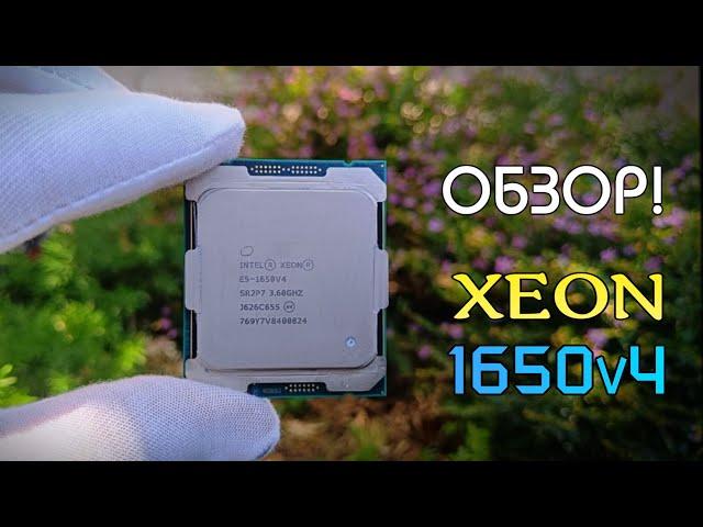 Xeon E5-1650V4 | Review |   #1650v4   #2643v3