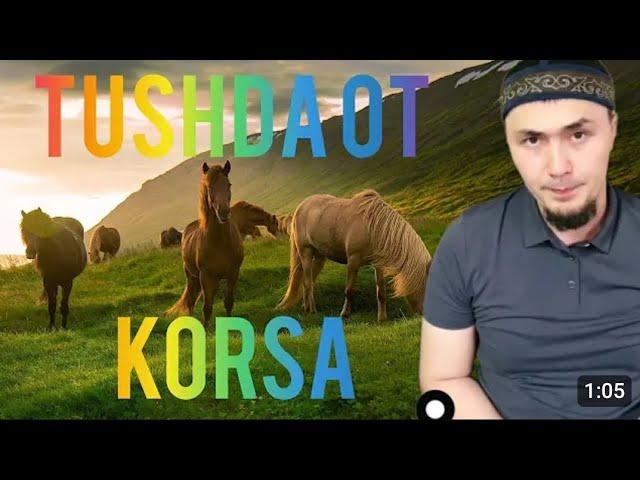 Тушда от Курса Умар Кори Tushda Ot korsa @islomvasunnat720