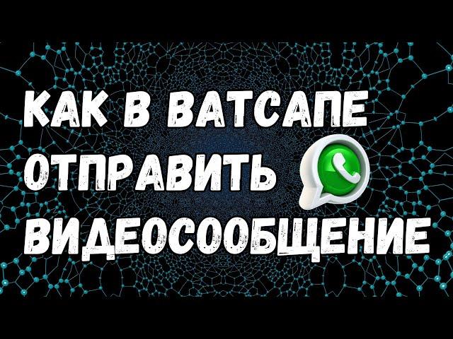 НОВИНКА! Как в Ватсапе отправить видеосообщение [НОВЫЙ УДОБНЫЙ СПОСОБ]