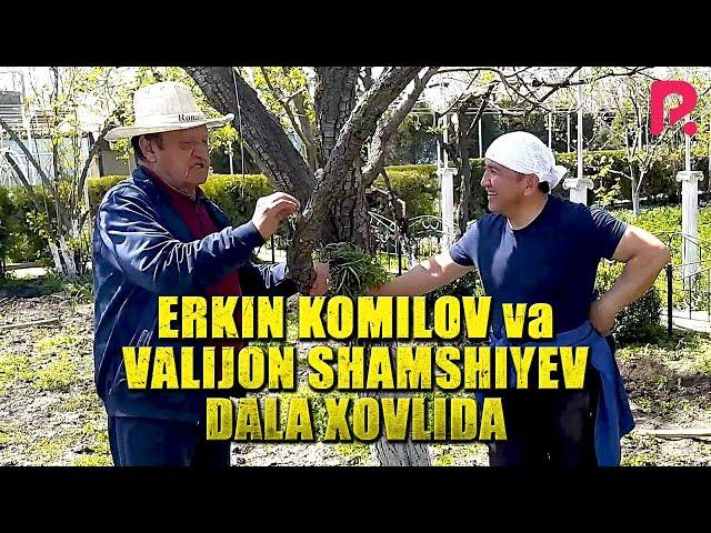 Erkin Komilov va Valijon Shamshiyev dala xovlida