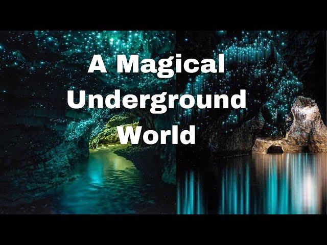 Waitomo Glowworm Caves, New Zealand: A Magical Underground World