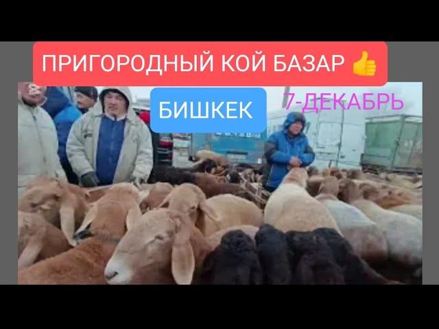 КОЙ БАЗАР ПРИГОРОДНЫЙ МАЛ БАЗАР БИШКЕК 7-Декабрь 2024ж