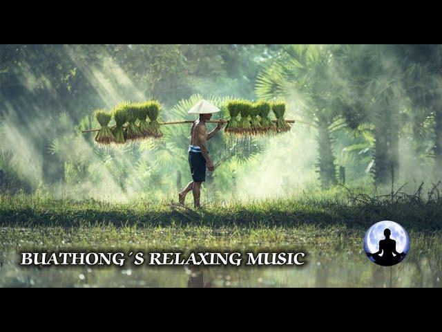 Beautiful relaxing music for meditation and calming down, 2023 | sleeping music | Vol. 10 "Thailand"