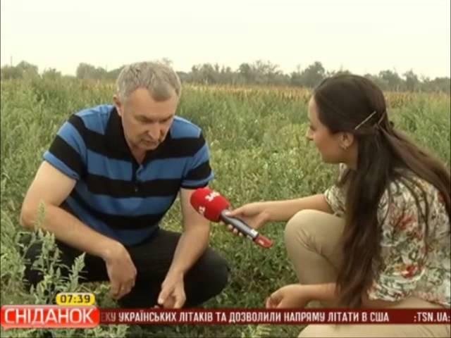 Мій Путівник: Херсон. Ч.4