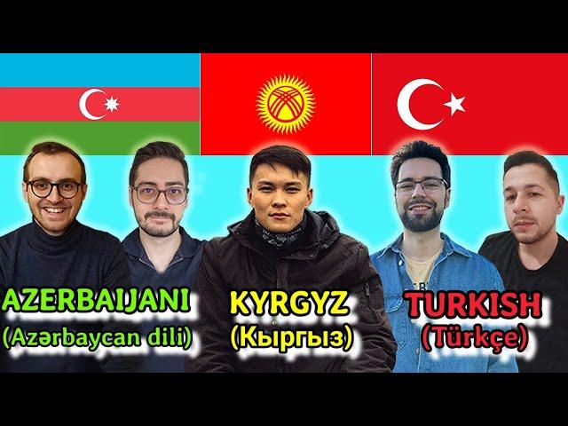 Can Turkish Speakers Understand Kyrgyz?