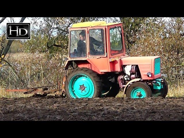 Vladimirets T-25  Plowing black soil for the winter