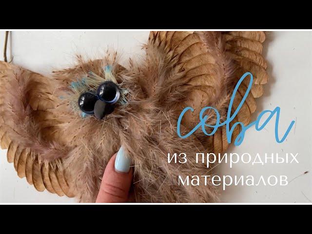 DIY Сова ИЗ ПРИРОДНЫХ МАТЕРИАЛОВ как настоящая ПОДЕЛКА СВОИМИ РУКАМИ совушка птица