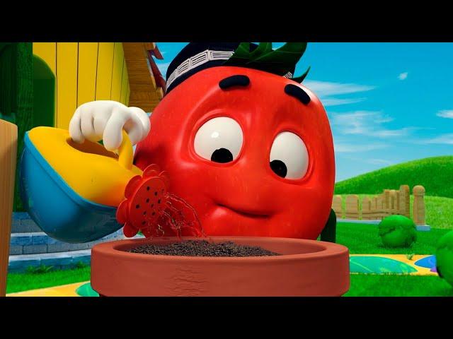 TOMATO DOPPI Garden And More Craziest Adventures  FOR KIDS