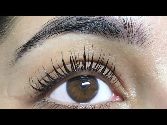 Professional Salon Lash Lift Kit with Training