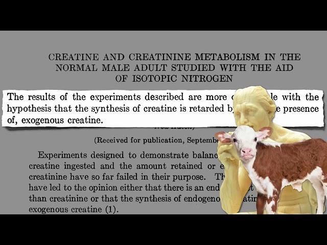 Creatine Brain Fuel Supplementation