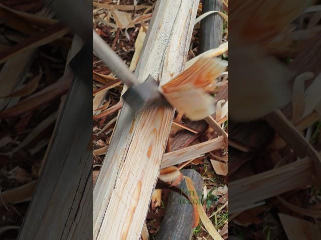 Hand-Scraping Cedar Bark Process!