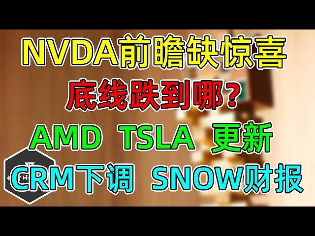 美股 NVDA没惊喜，底线跌到哪？AMD、TSLA跟踪！CRM、SNOW财报！