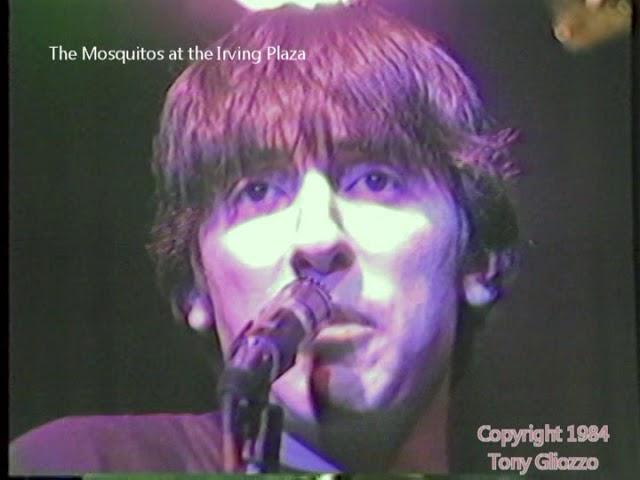 The Mosquitos @ Irving Plaza January 1984