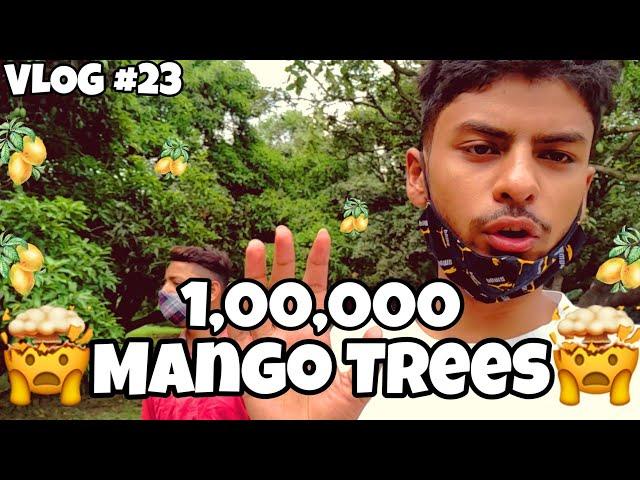 1,00,000 MANGO TREES || LAKHPEDA POWAYAN || VLOG 23 || Tanishq Mishra