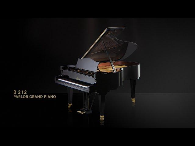 Discover the C. Bechstein Concert B 212!