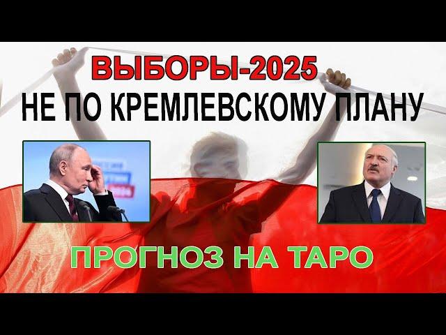 Лукашенко будет вторым, что-то пойдет не так. Прогноз на выборы в Беларуси