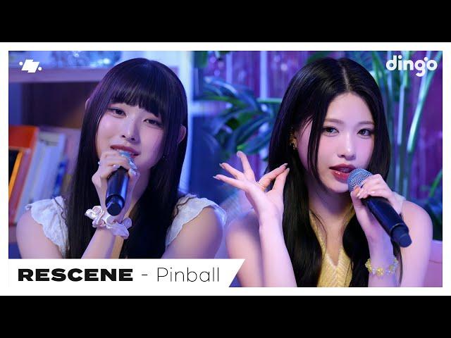 RESCENE(리센느) – Pinball | dingo live | 딩고뮤직 | Dingo Music