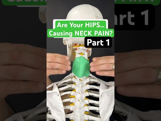 Part 1 - Are your HIPS causing Neck Pain? #neckpain #neckpainrelief #hipmobility #hipflexor