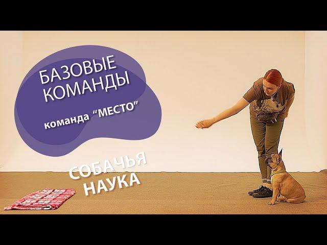 Дрессировка щенка: с чего начать? Команда "Место".