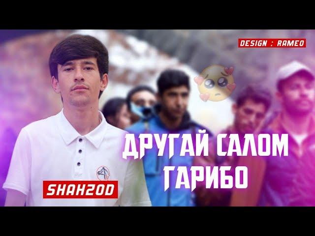 ТРЕК! Shahzod -  Камбагалбача бдан /new 2024