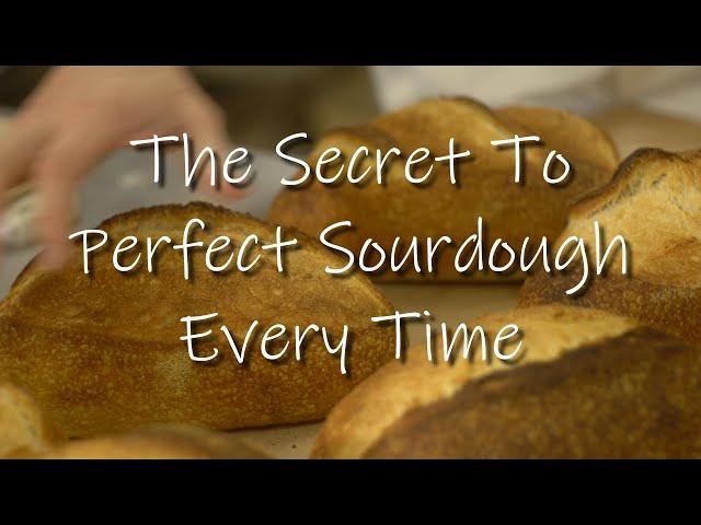 How to Make Your Sourdough Perfect Every Time Using Final Dough Temperature