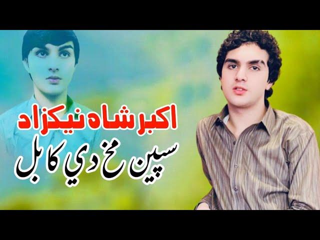 Speen Makh Da Kabul | Akbar Shah Nikzad New Song 2022 | Pashto New Songs | Official Music Video
