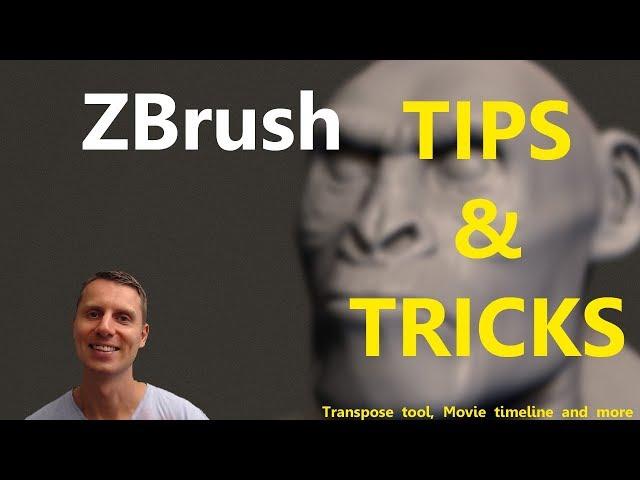 Zbrush Tips and Tricks: Transpose tool, Movie timeline and more