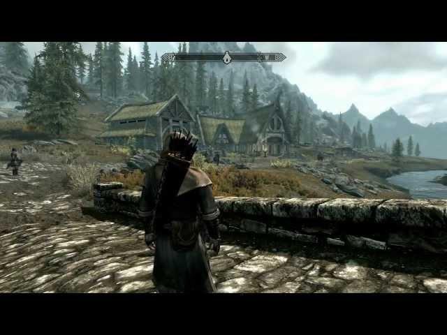 Skyrim Funny Glitch