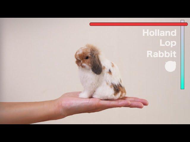 Make a Holland Lop Rabbit/needlefelting