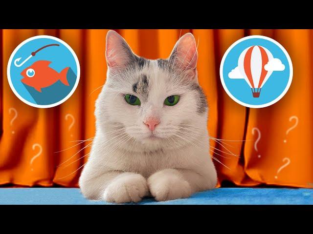 ЧЕЛЛЕНДЖИ для КОТОВ! ДОСТАНЬ ЧТОБЫ ВЫЖИТЬ VS Стали РЫБАКАМИ на 24 ЧАСА! КТО ПОБЕДИТ?