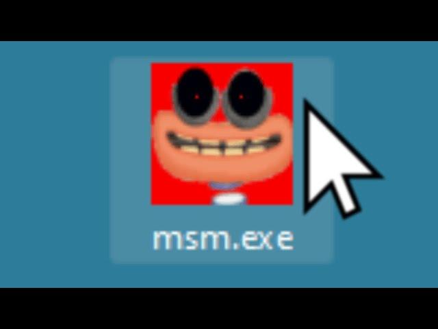 msm.exe