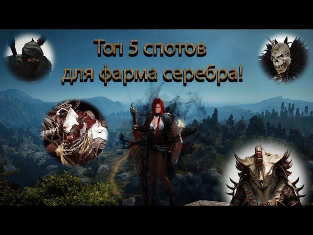 GameZ BDO(Black Desert) Топ 5 спотов для фарма серебра! 140-200 атаки.