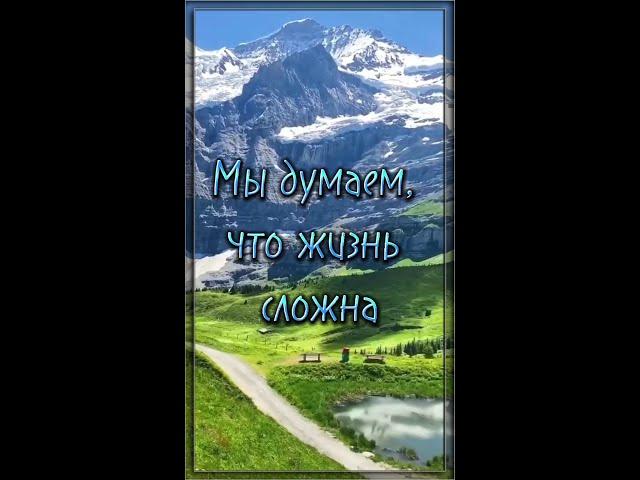 Стих со смыслом.  Жизненная поэзия.  Потрясающий стих.  Мы думаем, что жизнь сложна... #shorts